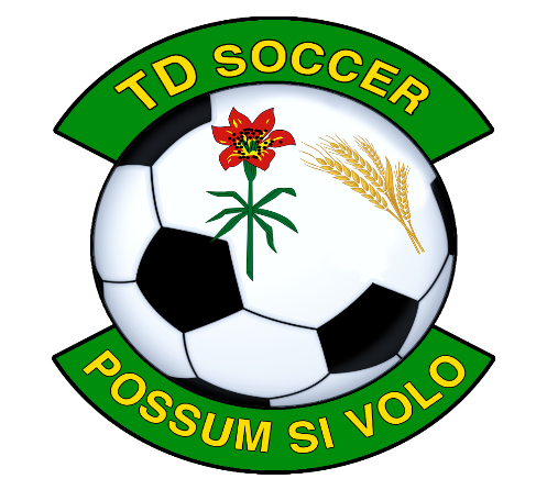 td soccer td soccer